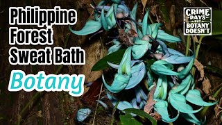 Sweating to the Oldies for the Jade Vine - Philippines Botany Episode 3