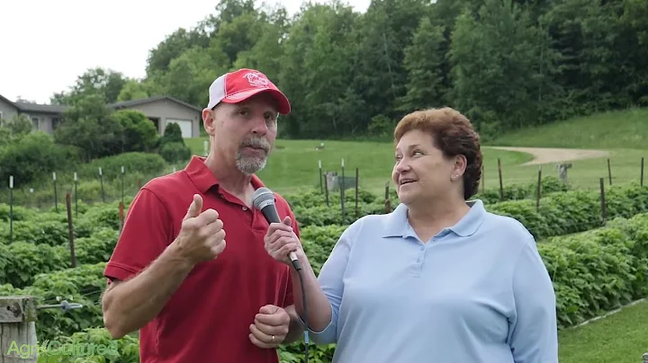 AgriCultured With Pam Jahnke - Raspberries