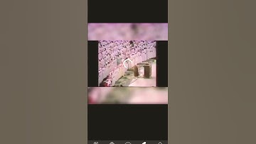 ، الشيخ علي جابر رحمه الله سوره الكهف ووضع الكتاب فتر المجرمين