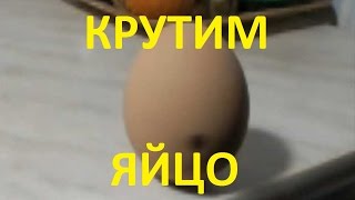 Крутим яйцо замедление в 13 раз