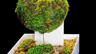 SelfWatering Moss Globe (Satisfying and Relaxing Build)