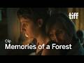 MEMORIES OF A FOREST Clip | TIFF 2026