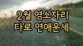 [타로연애] 2월 염소자리 연애운세; 나의 발란스가 더욱 중요한 멋진 염소