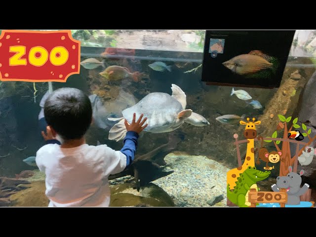 Jeremy Family Fun Trip to the Zoo| Animals Explorer class=