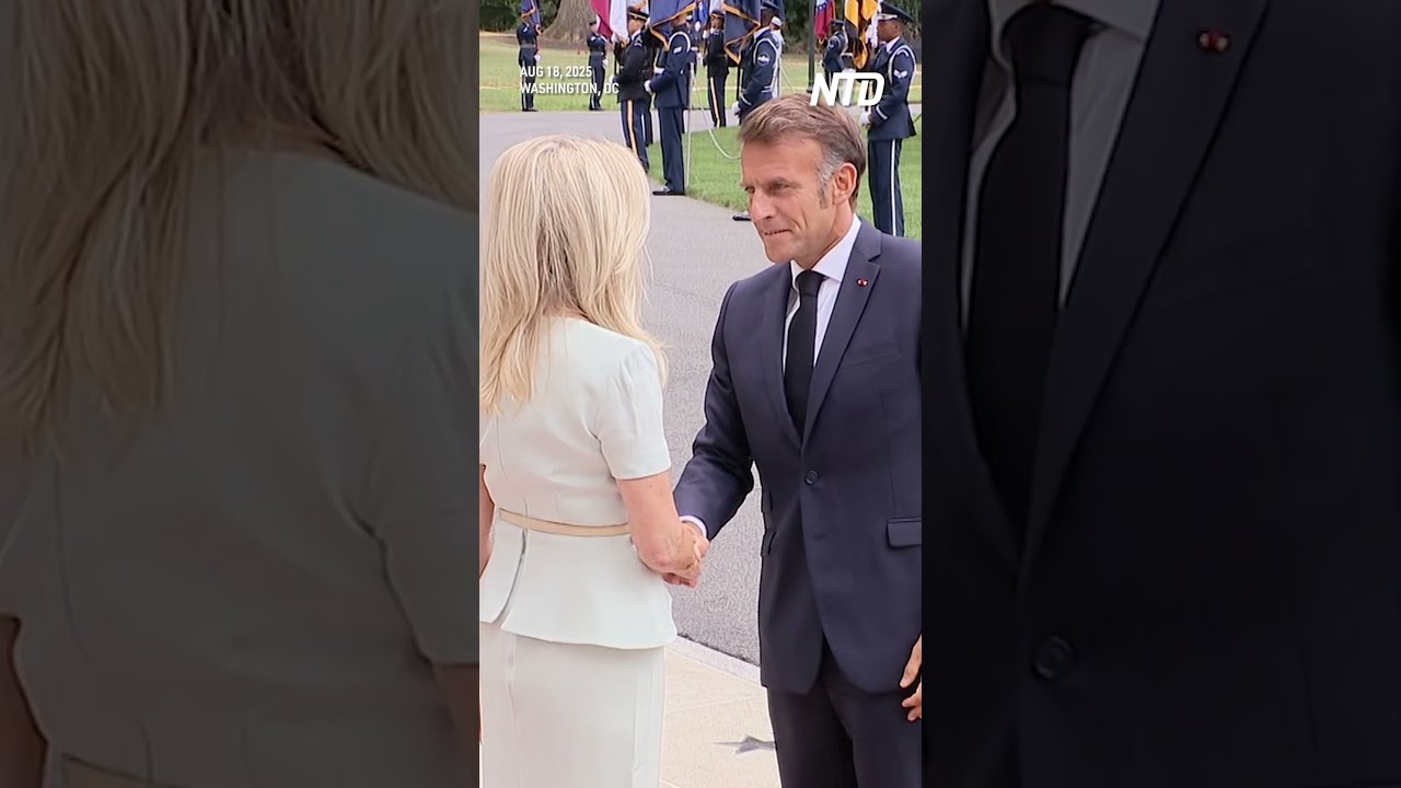 European Leaders Arrive At The White House