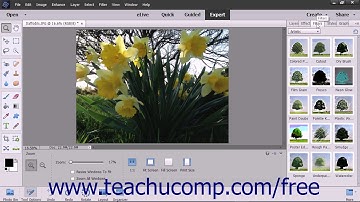 Photoshop Elements 2018 Tutorial The Panel Bin and Taskbar Adobe Training