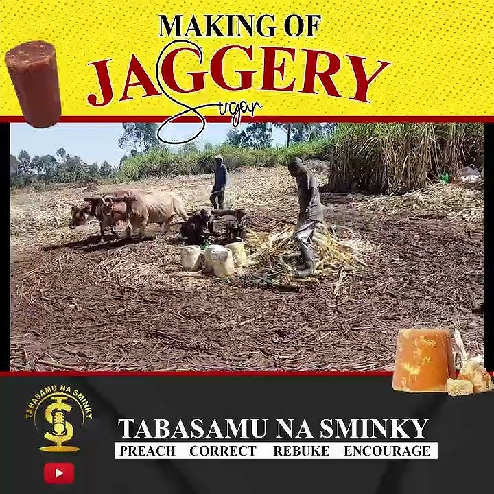 SUKARI NGURU | JAGGERY SUGAR MAKING PROCESS (TEASER) Full Video today 17/10/2022 @ 4PM