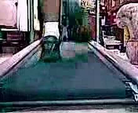to supinate or to pronate? - YouTube