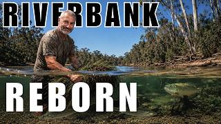 QLD Riverbank Comes Back to Life | Replanting My 2000L Aquarium