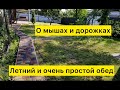 О мышах и дорожках. Летний обед из кабачков и фарша