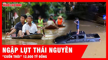 Lần đầu tiên trong lịch sử, Thái Nguyên thiệt hại 12.000 tỷ đồng vì ngập lụt mưa bão | Tin tức