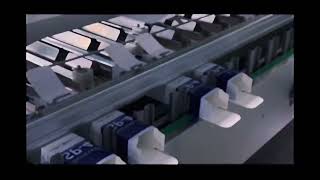 Kitten I Was Extremely Scared At That Moment.