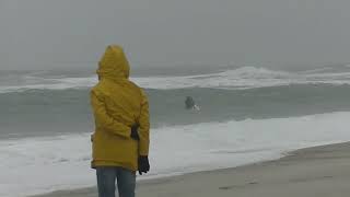 Friendscamp Dänemark 2022 - Agger