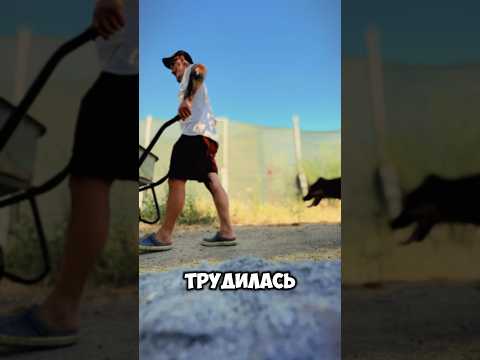 Все что нужно знать о труде😃 #топ #мотивацияивдохновение #вреки #лето #осознанность #шортс #рилс