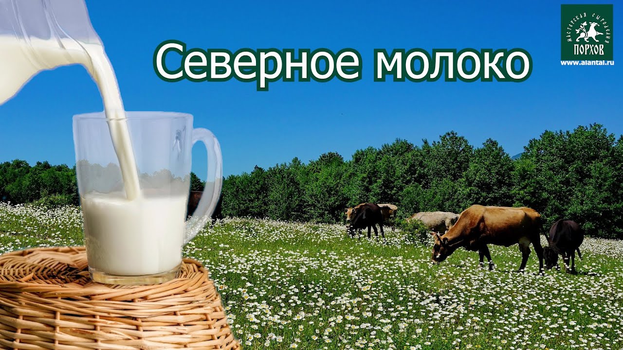 Ока молоко северное