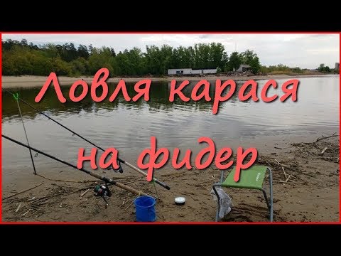 Карась на фидер в мае и июне. Волга.