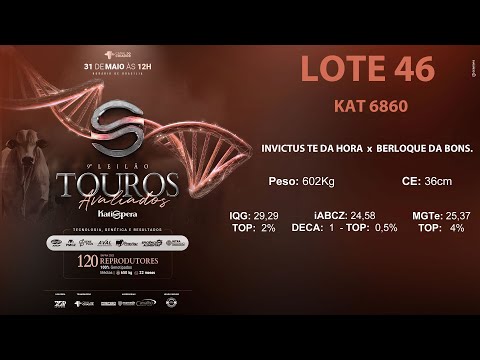 LOTE 46