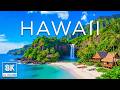 Hawaii 8K | Discover Volcanic Islands, Tropical Beaches &amp; Pacific Ocean Paradise