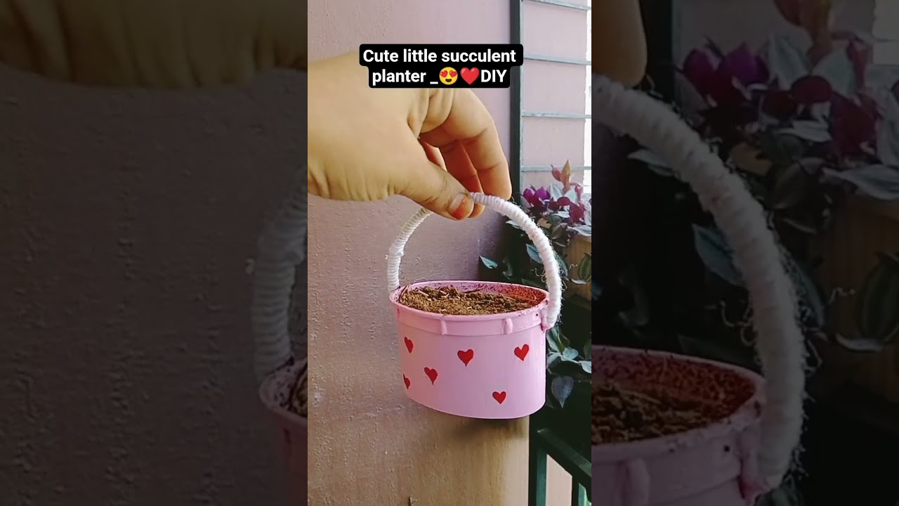 Cute Little Planter DIY Plants Succulent Love Song Garden Reuse Beautiful Shorts