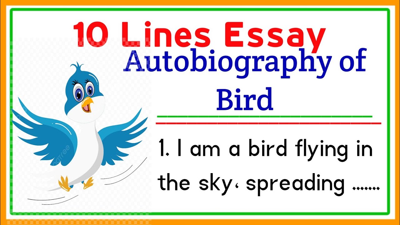 Autobiography Of A Bird 10 lines | Life Of A Bird | Essay On Autobiography Of A Bird in English