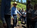 The benefit of plants against Erosion