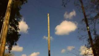 IMG 0031