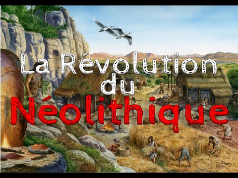 Vidéo: Vers Une Révolution Néolithique Microbienne Dans Les Bâtiments