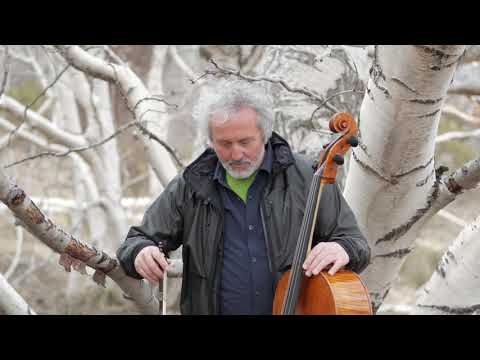 ‘The violoncello piccolo’ by Mario Brunello