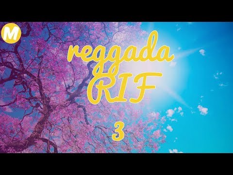 Video MARIAGE MAROCAIN DU RIF 2016 REGGADA 3 - youtube