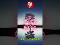 【斎藤一人さん】結婚する人は最初から決めている #斎藤ひとりさん #ひとりさん #寝ながら聞く #shorts #癒し #悩み