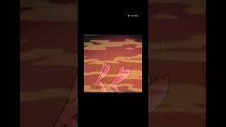 Skunk Farting And Spraying