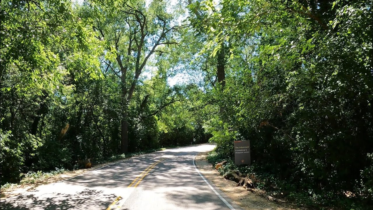University Of Wisconsin Arboretum