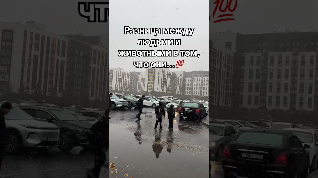 #people #природа #wisdom #wisdom#quotes #цитаты #цитаты — Transcript