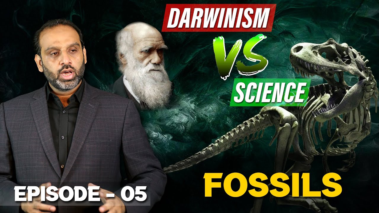 Episode 05 | Fossils - YouTube