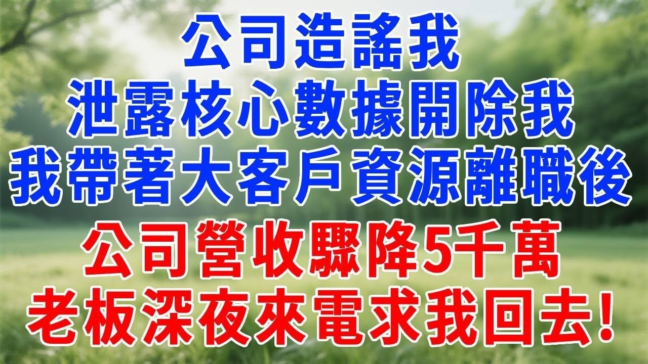 公司造謠我泄露核心數據開除我，我帶著大客戶資源離職後，公司營收驟降5千萬，老板深夜來電求我回去!#人生感悟  #故事分享 #故事頻道 #职场 #生活經驗 #打脸 #报恩