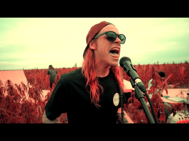 DUNE RATS - BRAIN DEAD (OFFICIAL MUSIC VIDEO) class=