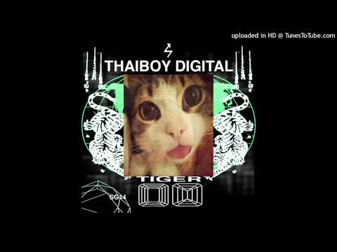 Видео: whitearmor x tiger type beat (w/ h1ghbl00d) - 