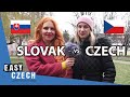 Differences between czech and slovak  easy czech 25