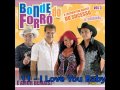 Bonde Do Forró (Volume 3) - CD COMPLETO - É Amor Demais!