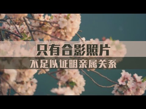 只有合影照片，不足以证明亲属关系