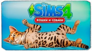 КОШКИ И СОБАКИ ВЫШЛИ! - The Sims 4 