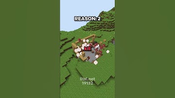DO NOT CLICK THE SOUND😭🙏 #litsl #smp #minecraft #server