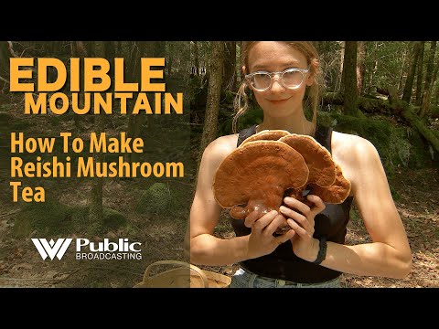 Grinding Mushroom Tips