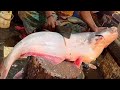 Unbelievable Speed! Expert Pangas Fish Skinning &amp; Slicing #youtubevideos #viralvideo