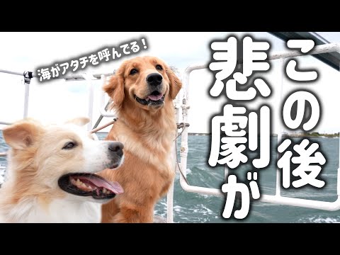 【爆笑神回】犬と初めてクルージングしたらまさかのハプニングが連発しました…笑