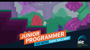 Junior Programmer: AIE with Sian Sallway