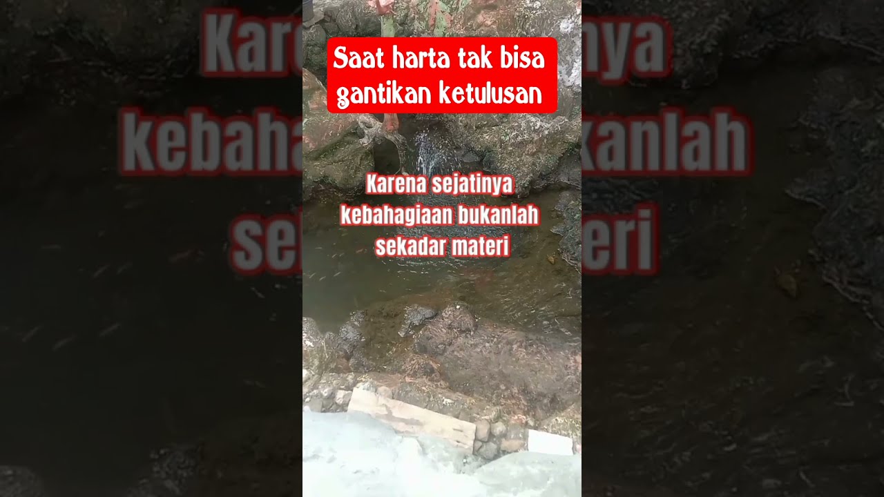 Saat harta tak bisa gantikan ketulusan #hikmahhidup