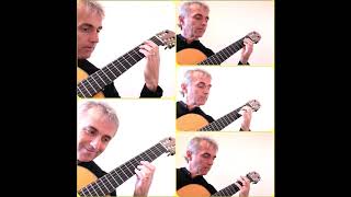 Fields Of Gold For Guitar Ensemble