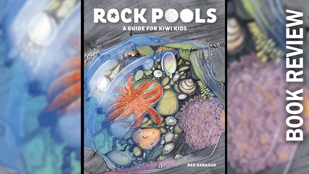 Rock Pool. Book Rock Pools - Kids Talk About Books - YouTube