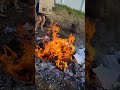 this is your sign to start burning your school stuff || #school #fun #fire #schoolisover #schoolmeme